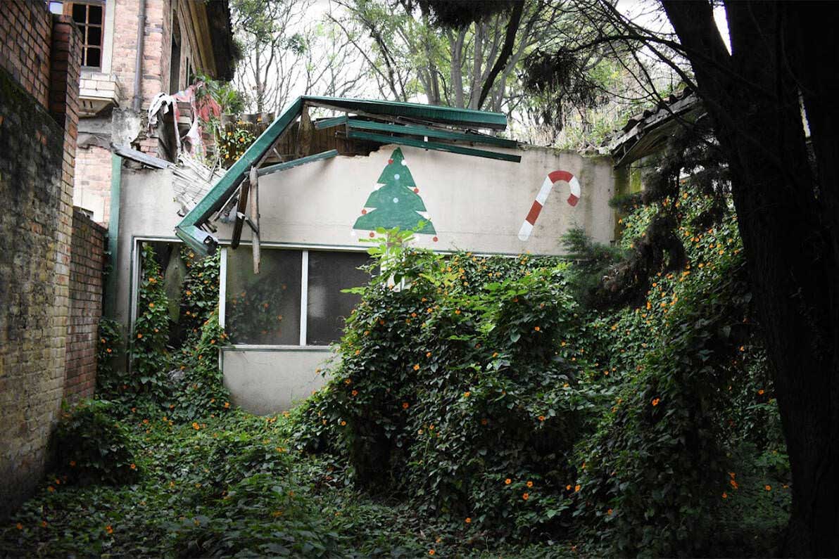 Plantas en el exterior del edificio de Mantenimiento. Foto: Equipo de investigación IDPC, 2022.