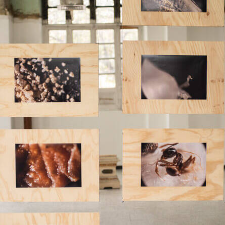 Juan Alonso - Proyectos visuales, IDPC, 2023