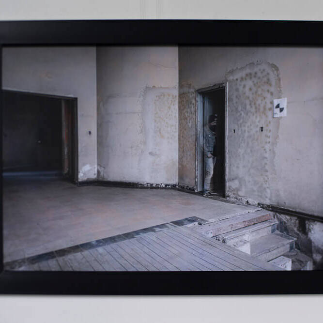 Diego H Jiménez F - Proyectos visuales, IDPC, 2023