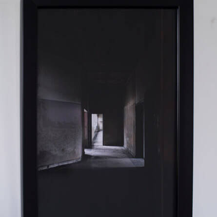 Diego H Jiménez F - Proyectos visuales, IDPC, 2023