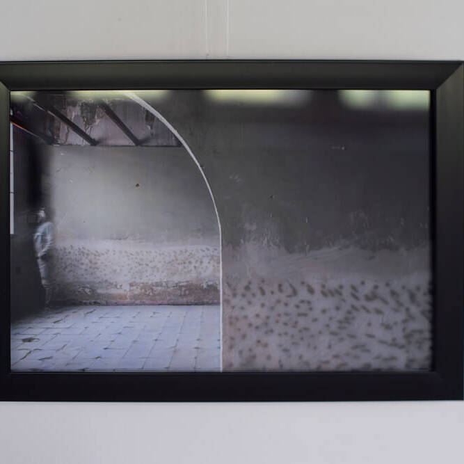 Diego H Jiménez F - Proyectos visuales, IDPC, 2023