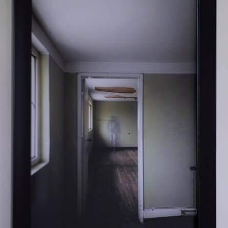 Diego H Jiménez F - Proyectos visuales, IDPC, 2023