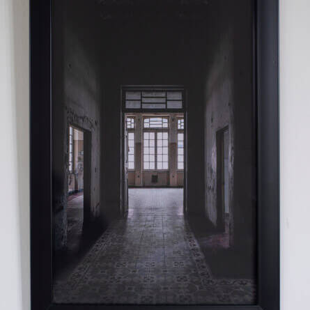 Diego H Jiménez F - Proyectos visuales, IDPC, 2023