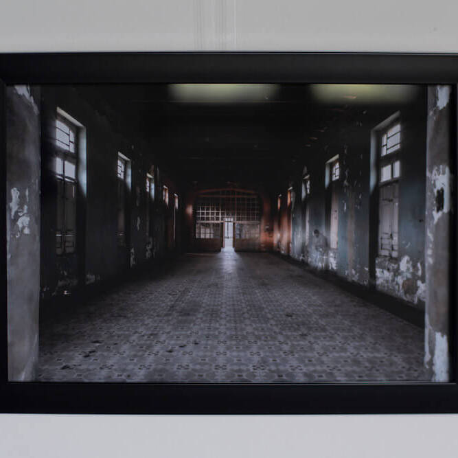 Diego H Jiménez F - Proyectos visuales, IDPC, 2023