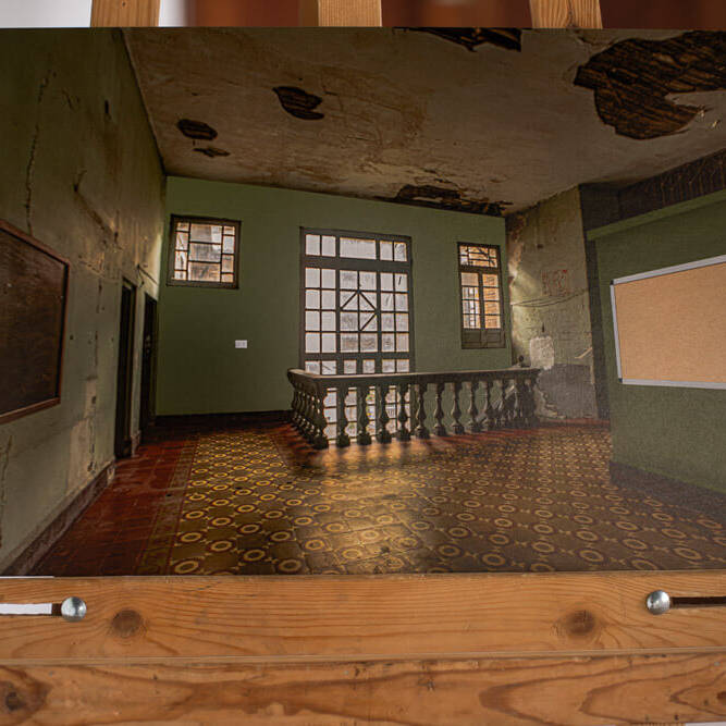 David Tovar - Proyectos visuales, IDPC, 2023