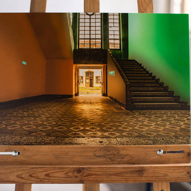 David Tovar - Proyectos visuales, IDPC, 2023