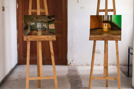 David Tovar - Proyectos visuales, IDPC, 2023