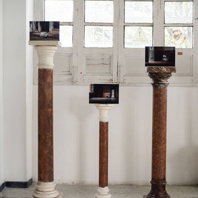 Felipe Carrero - Proyectos visuales, IDPC, 2023