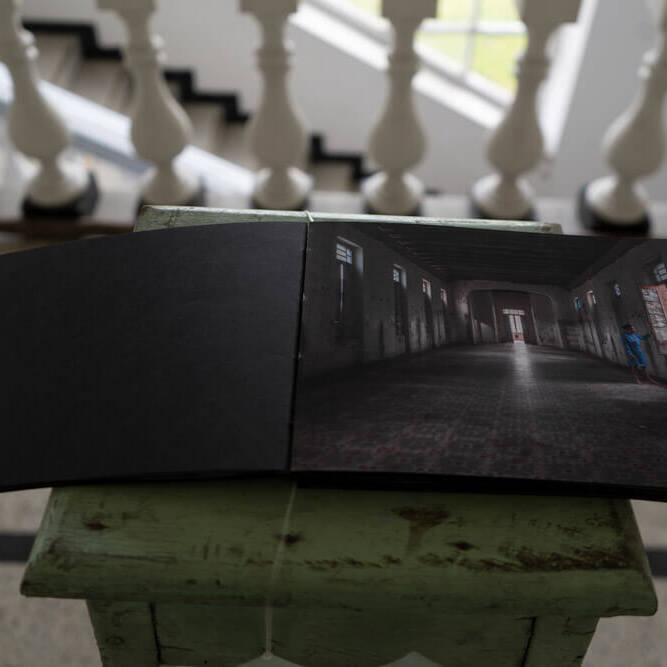 Crisálida Bermúdez - Proyectos visuales, IDPC, 2023