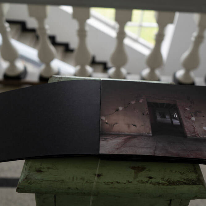 Crisálida Bermúdez - Proyectos visuales, IDPC, 2023