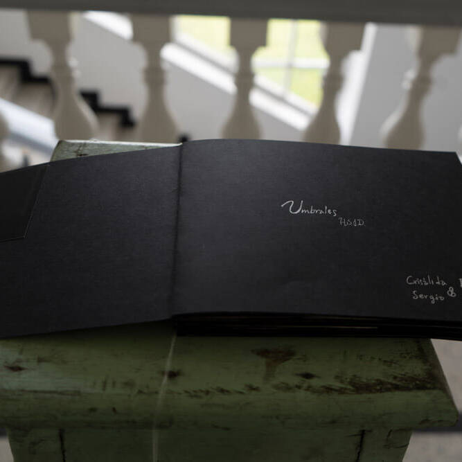 Crisálida Bermúdez - Proyectos visuales, IDPC, 2023