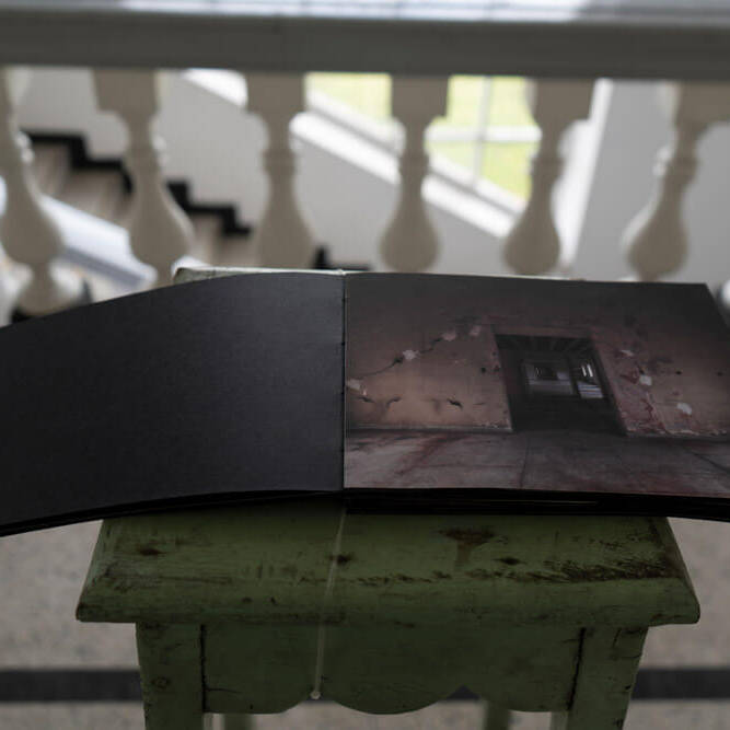 Crisálida Bermúdez - Proyectos visuales, IDPC, 2023