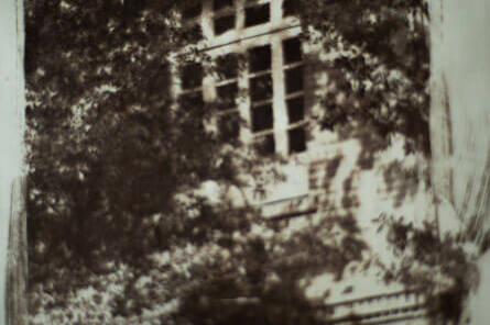 Luis Carlos Camargo - Proyectos visuales, IDPC, 2023