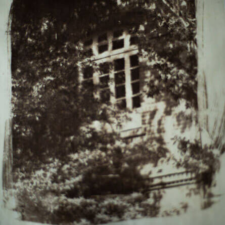 Luis Carlos Camargo - Proyectos visuales, IDPC, 2023