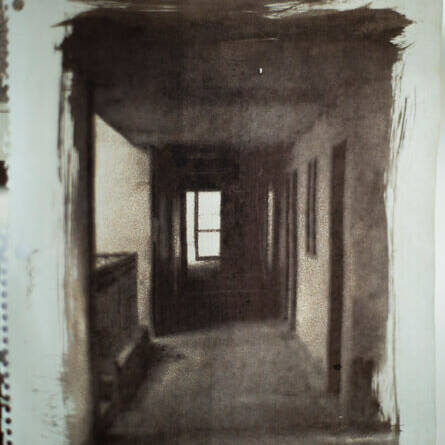 Luis Carlos Camargo - Proyectos visuales, IDPC, 2023