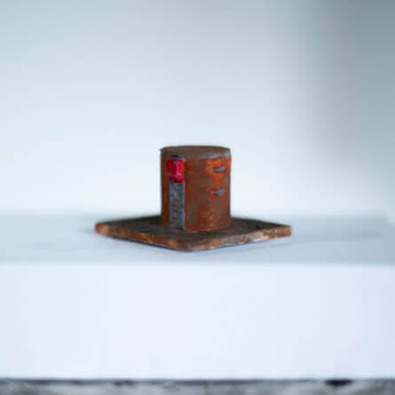 Luis Carlos Camargo - Proyectos visuales, IDPC, 2023