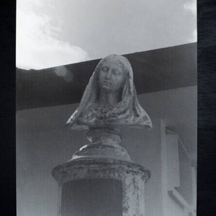 Luis Carlos Camargo - Proyectos visuales, IDPC, 2023