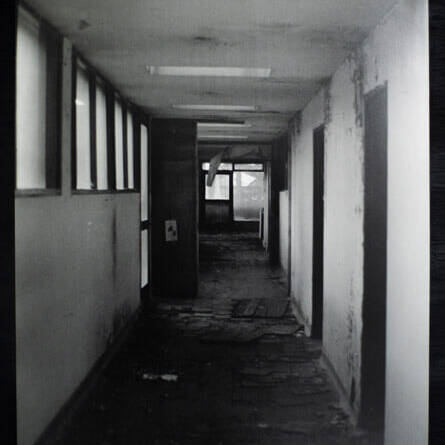 Luis Carlos Camargo - Proyectos visuales, IDPC, 2023