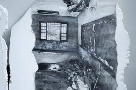 Bryan Veloza Díaz - Proyectos visuales, IDPC, 2023