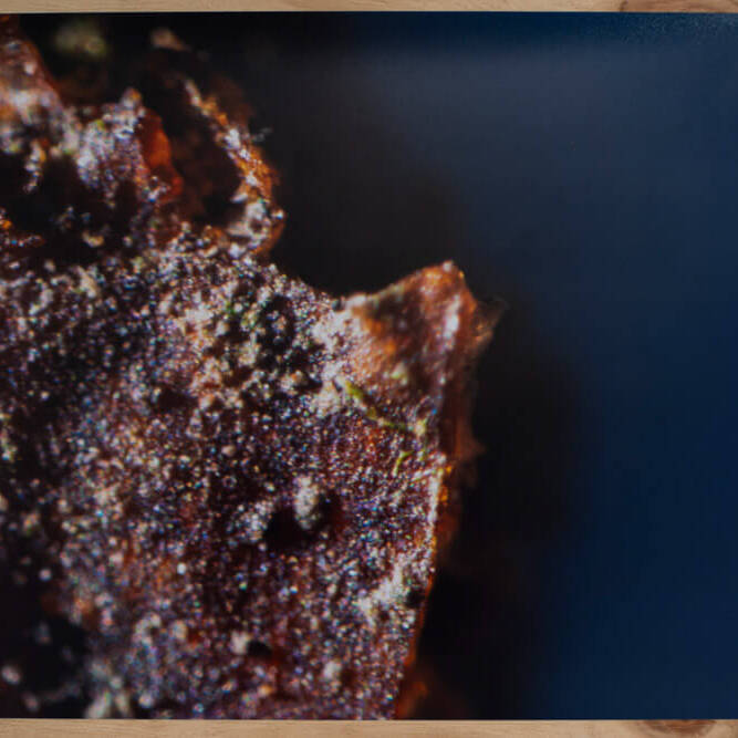 Juan Alonso - Proyectos visuales, IDPC, 2023