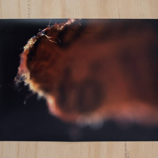 Juan Alonso - Proyectos visuales, IDPC, 2023