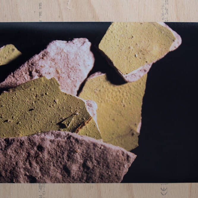 Juan Alonso - Proyectos visuales, IDPC, 2023