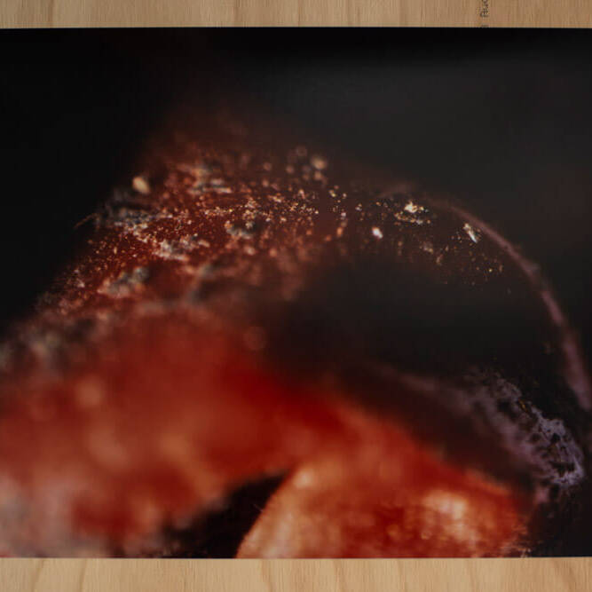 Juan Alonso - Proyectos visuales, IDPC, 2023