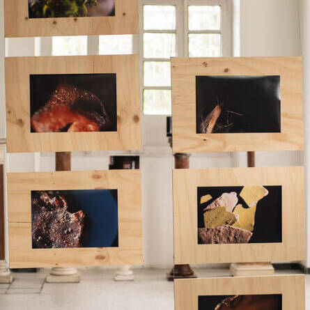 Juan Alonso - Proyectos visuales, IDPC, 2023