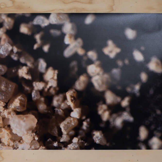 Juan Alonso - Proyectos visuales, IDPC, 2023