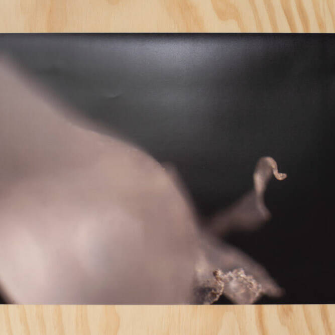 Juan Alonso - Proyectos visuales, IDPC, 2023