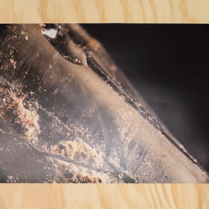 Juan Alonso - Proyectos visuales, IDPC, 2023