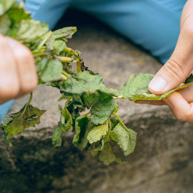 Diálogos y Recorridos 2023 - Foto: María Angélica Mejía, IDPC, 2023.