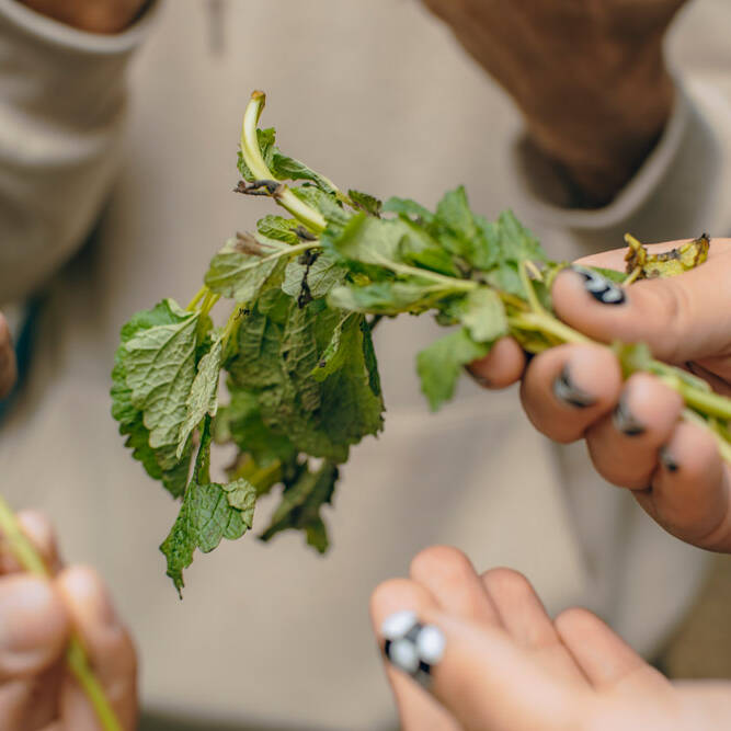 Diálogos y Recorridos 2023 - Foto: María Angélica Mejía, IDPC, 2023.