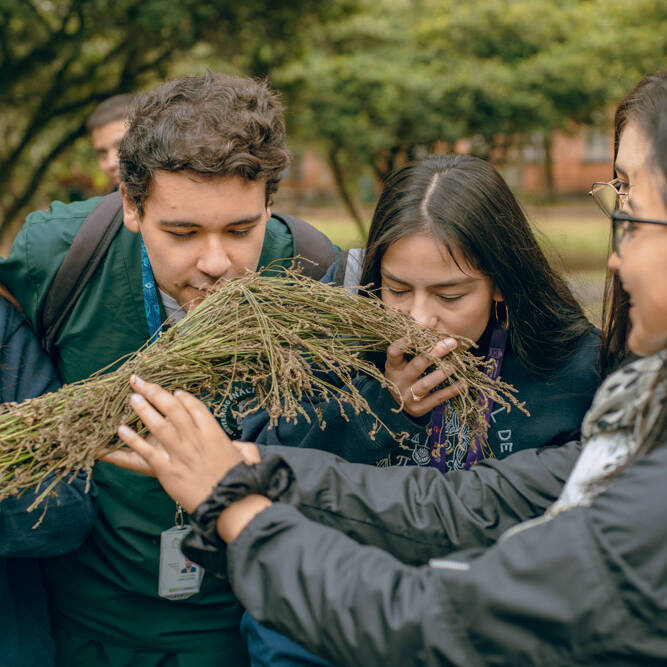 Diálogos y Recorridos 2023 - Foto: María Angélica Mejía, IDPC, 2023.