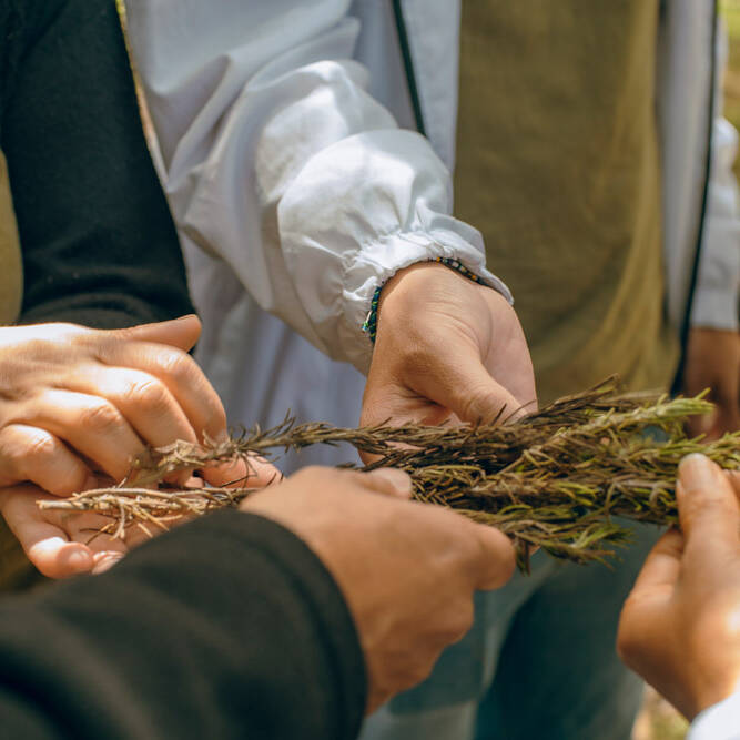 Diálogos y Recorridos 2023 - Foto: María Angélica Mejía, IDPC, 2023.