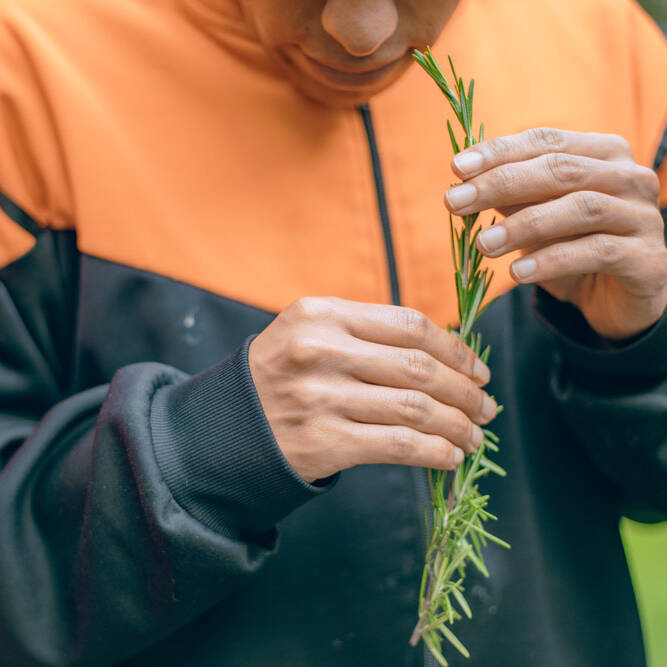 Diálogos y Recorridos 2023 - Foto: María Angélica Mejía, IDPC, 2023.