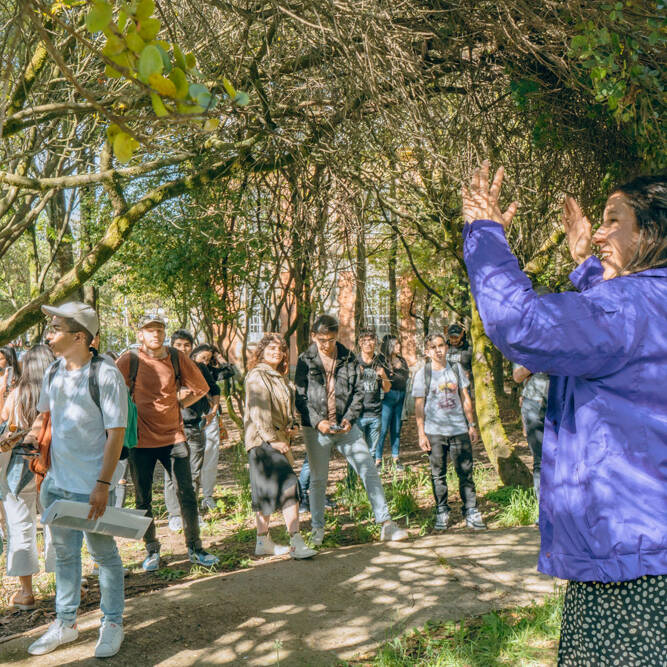 Diálogos y Recorridos 2023 - Foto: María Angélica Mejía, IDPC, 2023.