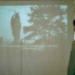 Andreas Duarte - Proyectos visuales, IDPC, 2023