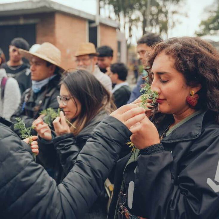 Asistentes del recorrido huelen hierbas del san juan de dios