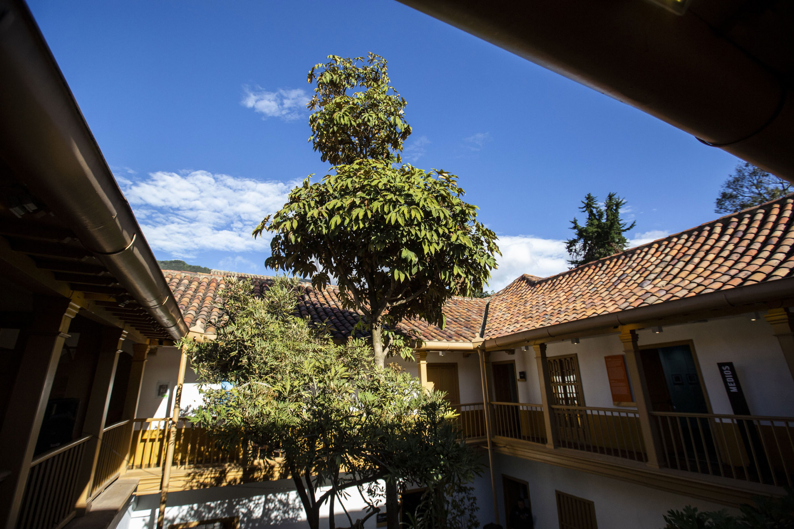 mdb_reno_reapertura_D9B7211_hanzrippe_20190605-min