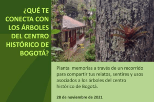 Recorrido de reconocimiento de valores patrimoniales y culturales de los árboles en el centro histórico de Bogotá