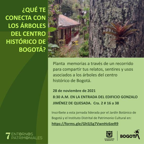Recorrido de reconocimiento de valores patrimoniales y culturales de los árboles en el centro histórico de Bogotá
