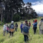 Jornada colaborativa para el mantenimiento del Área Arqueológica Protegida El Carmen (Usme).