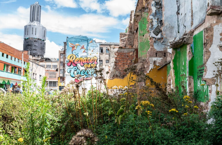 Plantas creciendo en el Bronx distrito creativo frente a pared con mural de Renacer para crecer