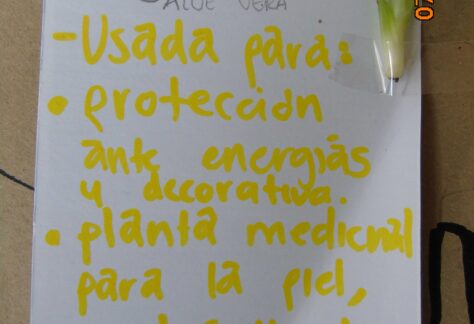 Gráfico de un escrito a mano en una cartulina blanca con letras amarillas con una pequeña hoja de sábila y un dibujo en la que se explica el uso de una de esta planta.