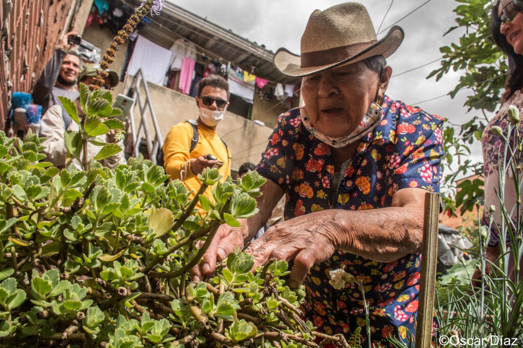 Mujer mayor sonriente con sombrero de lana sosteniendo una planta en una huerta rodeada de cultivos y naturaleza.