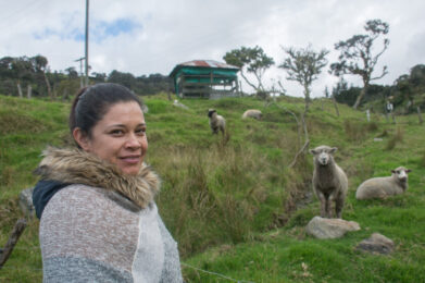 Mujer con ovejas