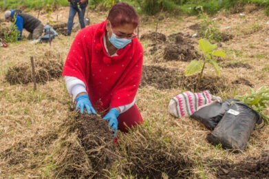 Mujer sembrando un arbol