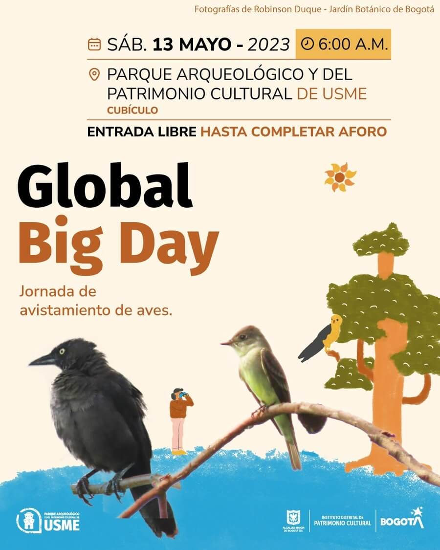 Invitación al Global Big Day