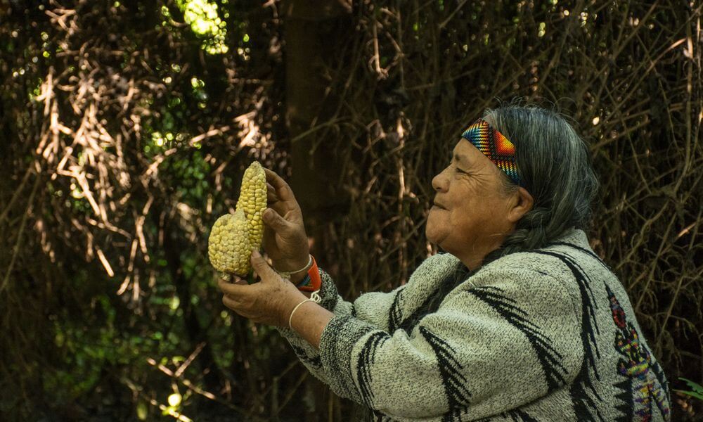 Abuela Blanca Nieves, del cabildo indígena Muisca de Suba en el marco de la celebración del mes del patrimonio hablando sobre la ancestralidad del pueblo.